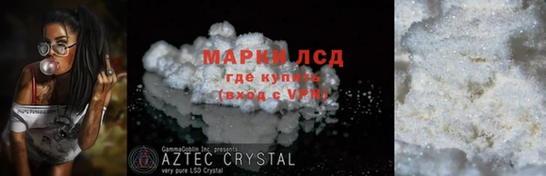 прущие грибы Пестово