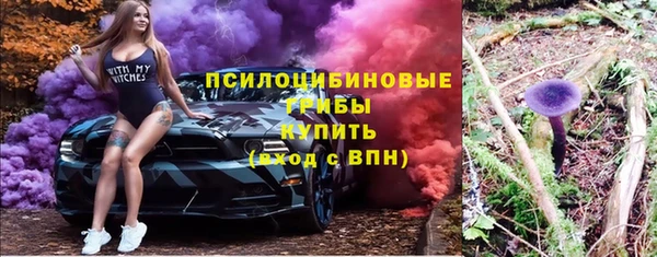spice Пересвет