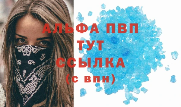 spice Пересвет