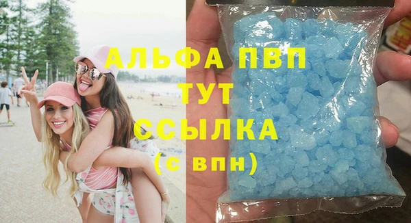 прущие грибы Пестово