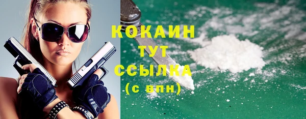 прущие грибы Пестово