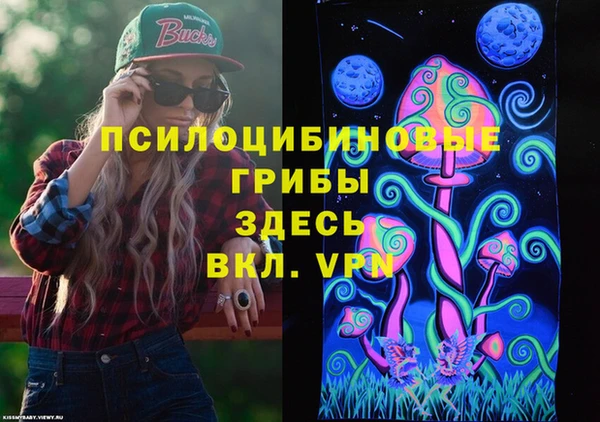 spice Пересвет