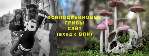 spice Пересвет