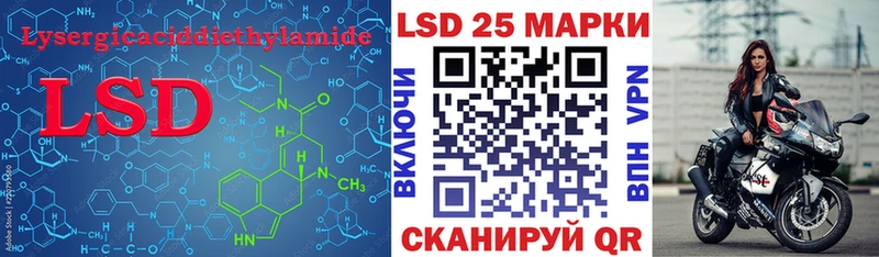 как найти наркотики Новороссийск Лсд 25 экстази ecstasy