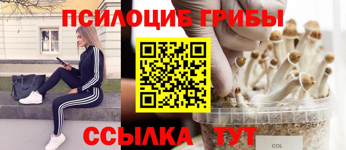 Новороссийск  Галлюциногенные грибы прущие грибы  Вход с VPN  Галлюциногенные грибы Psilocybine cubensis 