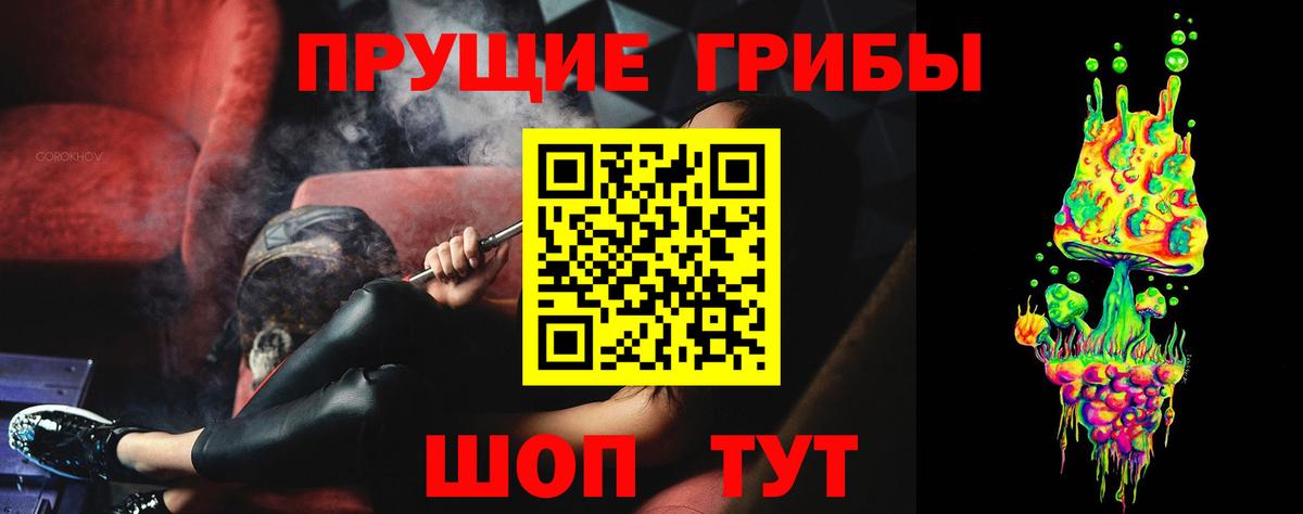 Псилоцибиновые грибы Psilocybe Новороссийск